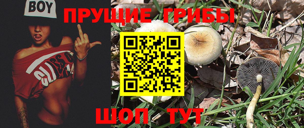 Галлюциногенные грибы MAGIC MUSHROOMS Владивосток
